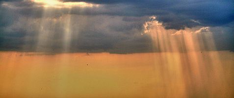 rays1